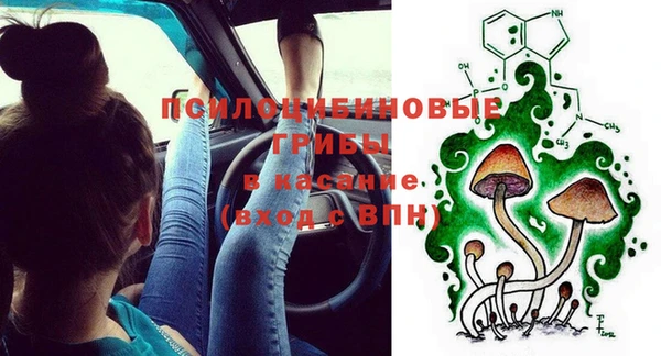PSILOCYBIN Абинск