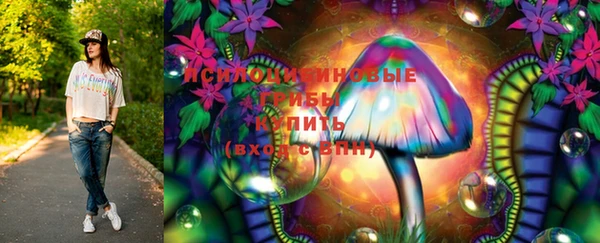 бошки Алексин